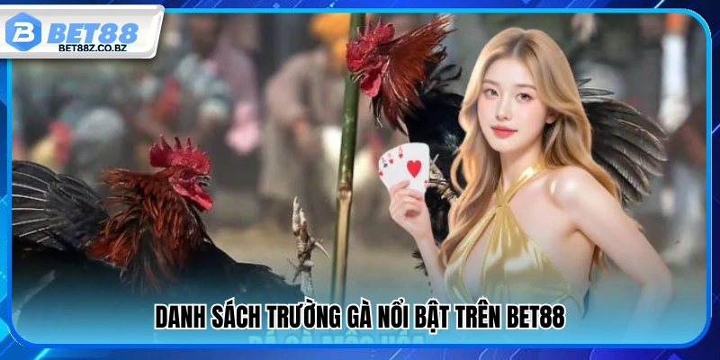 Đá Gà Bet88 – Xem Trực Tiếp Cực Đỉnh Kèo Chuẩn Từng Giây 2 Các trường gà uy tín và nổi bật tại Bet 88