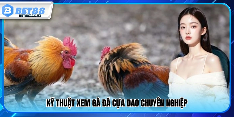 Bật Mí Top Mẹo Chơi Đá Gà Tăng Tỷ Lệ Thắng Mỗi Ngày 4 Mẹo chơi đá gà nhận biết gà đá cựa dao chuẩn xác như cao thủ